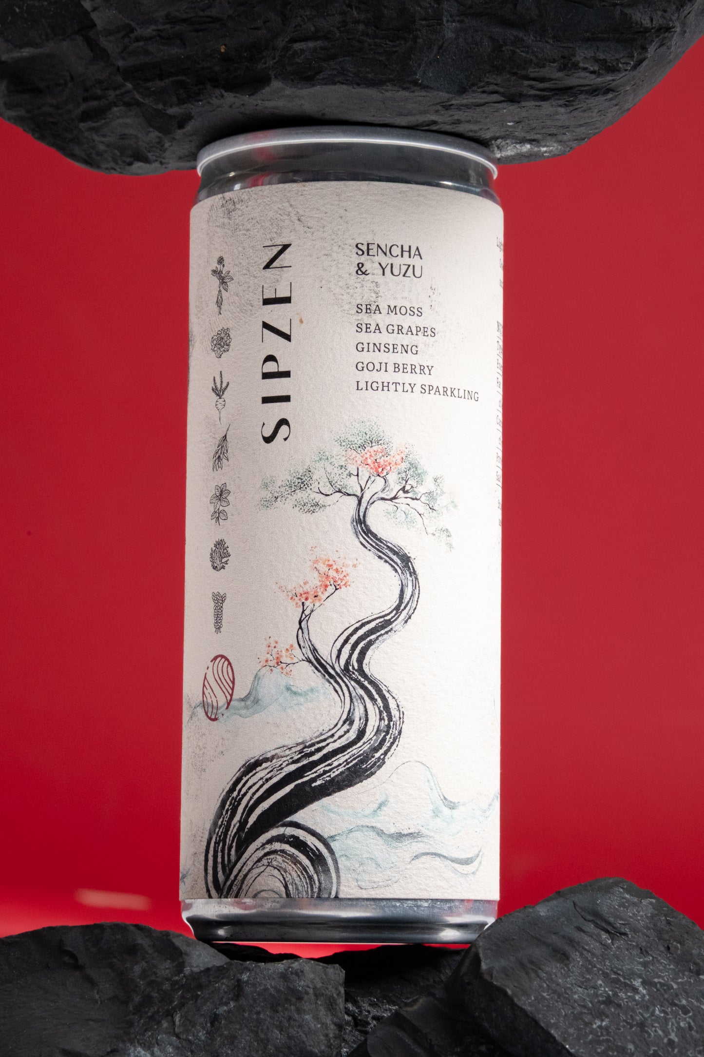 SENCHA & YUZU COLD BREW ICED TEA
