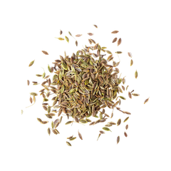 FENNEL SEED