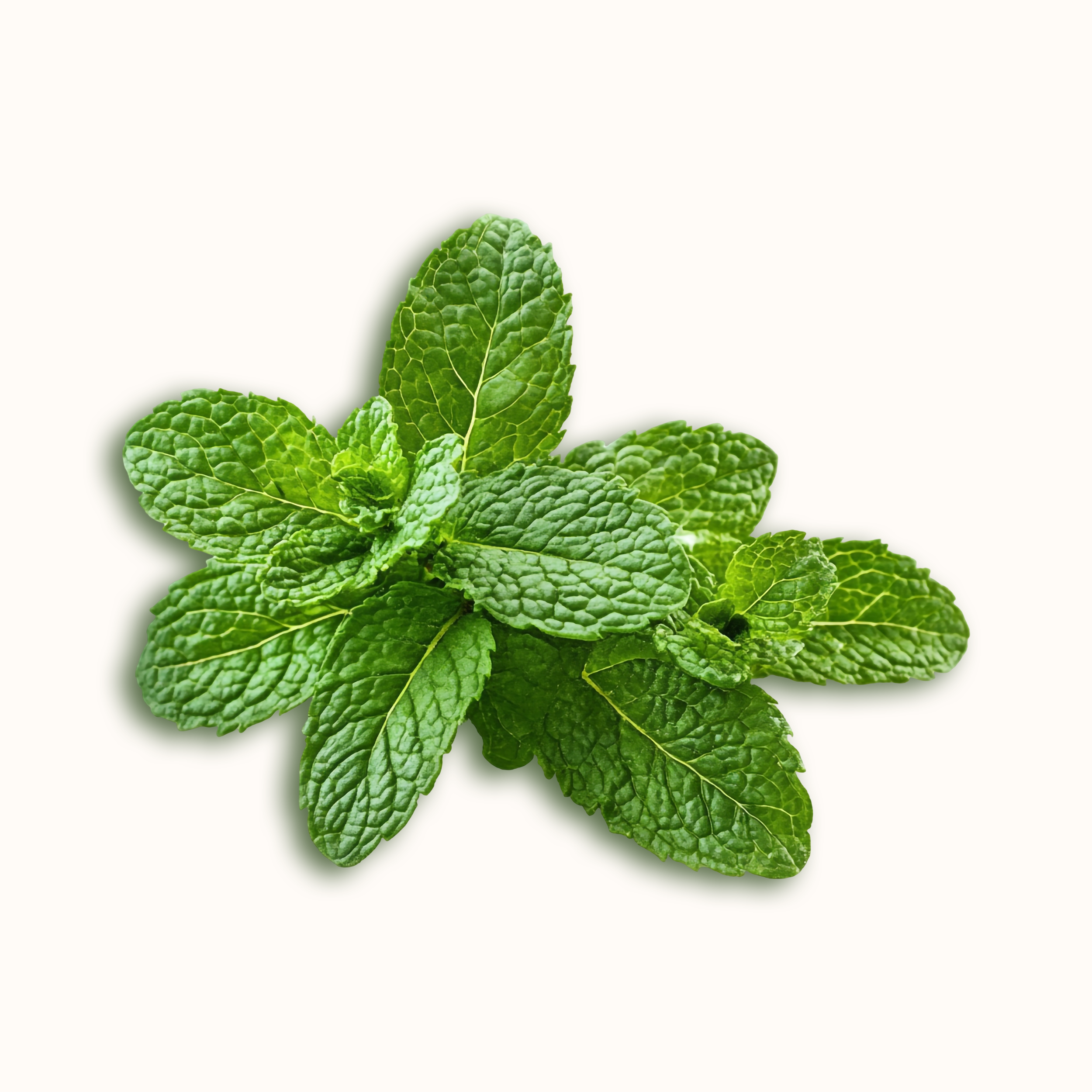 Main Ingredient image