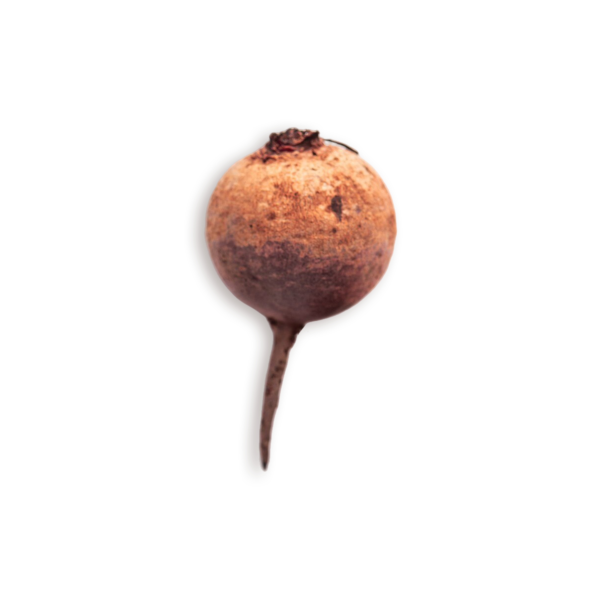Main Ingredient image