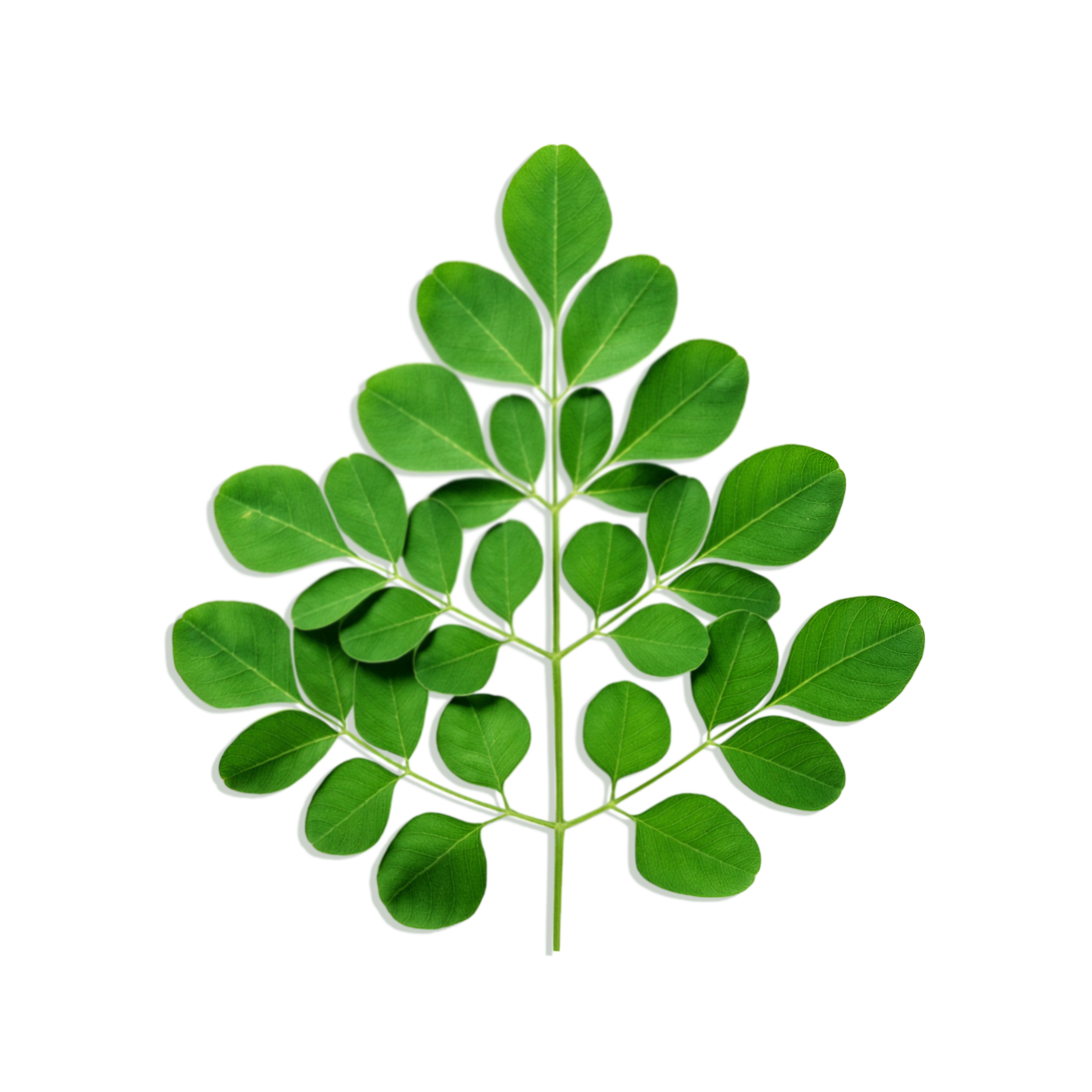 Main Ingredient image