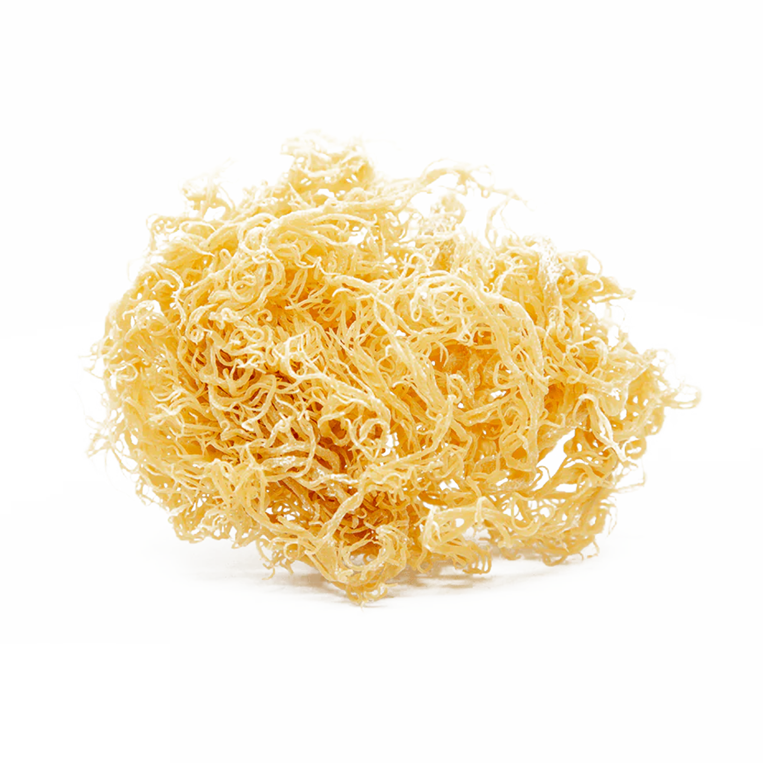 Main Ingredient image