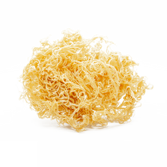 SEA MOSS